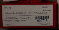 Image Associated With the Occurence